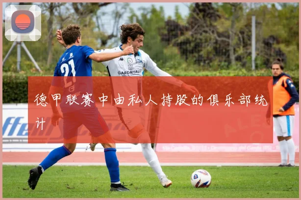 德甲联赛中由私人持股的俱乐部统计