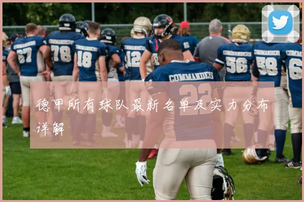 德甲所有球队最新名单及实力分布详解